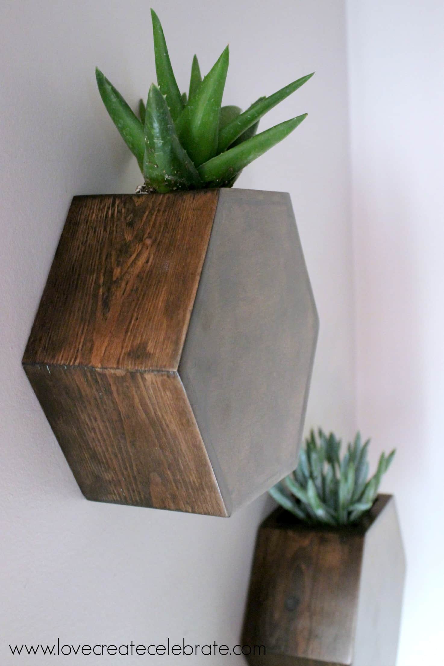 A closeup of my finished hexagon wall planters