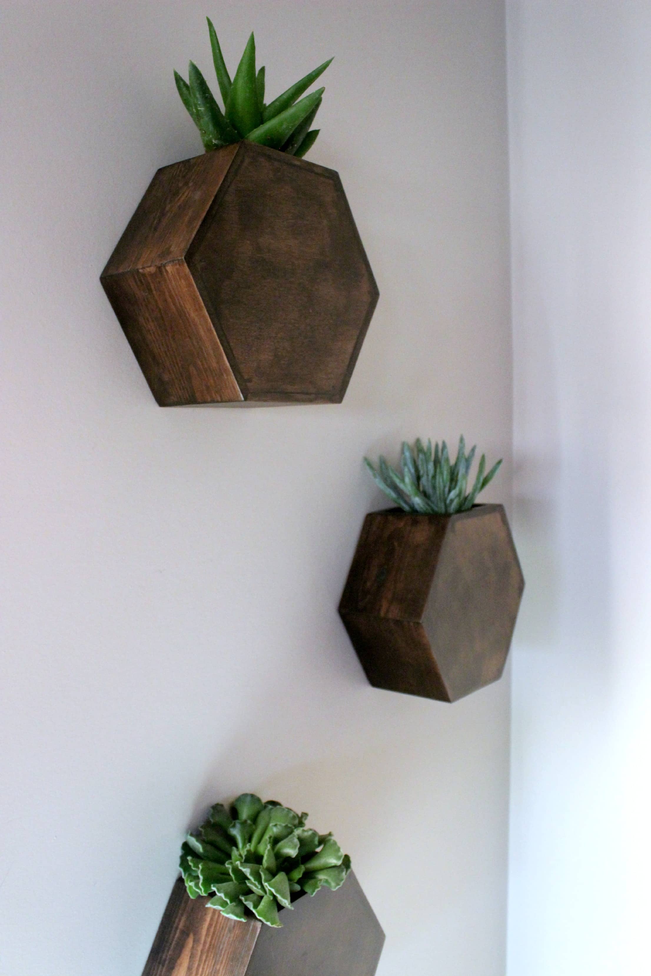 my finished hexagon wall planters