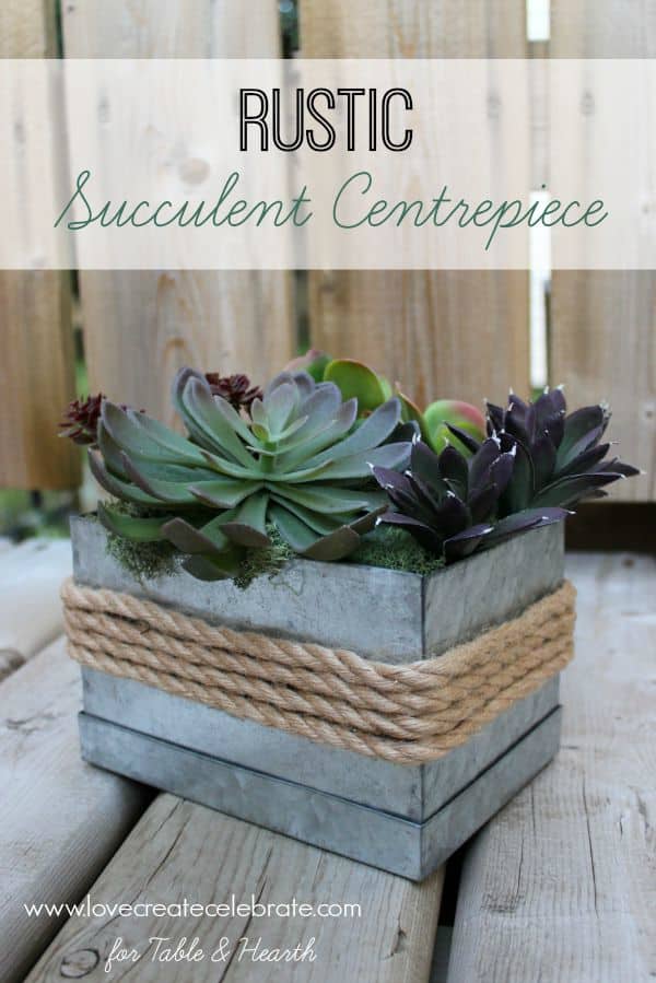 Rustic Succulent Centrepiece