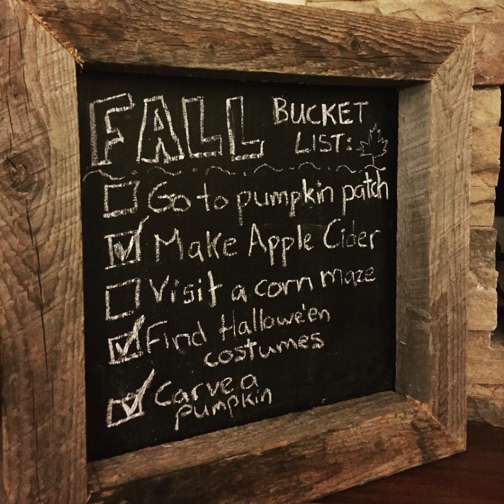 Well, I got a couple of things on my to-do list before the winter came! Unfortunately our pumpkin patch and corn maze closed early October and we never made it :( How did your fall bucket list go?! 