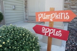 Fall pumpkin and apple sign