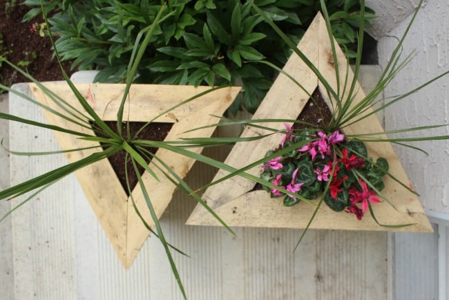 Triangle pallet planters from above