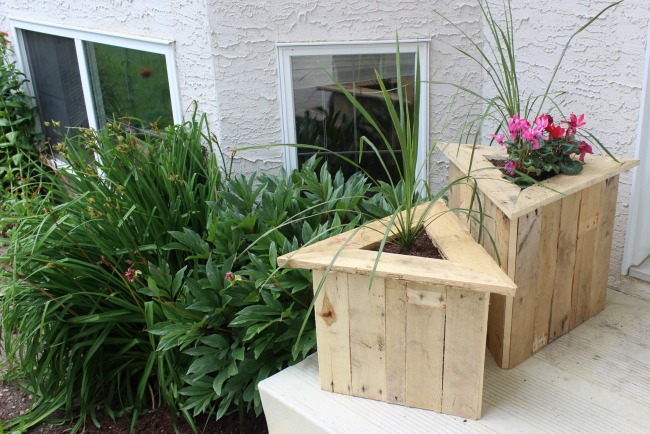 Image of 2 triangle pallet plants displayed on a porch 