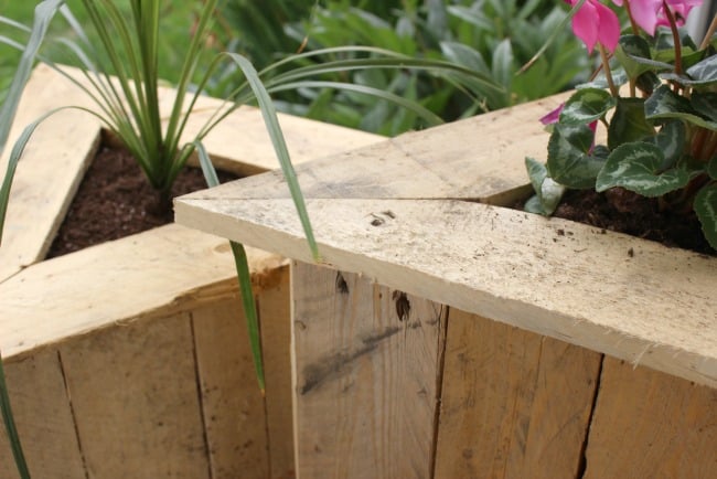 Another view of the triangle pallet planters on the patio filled with flowers