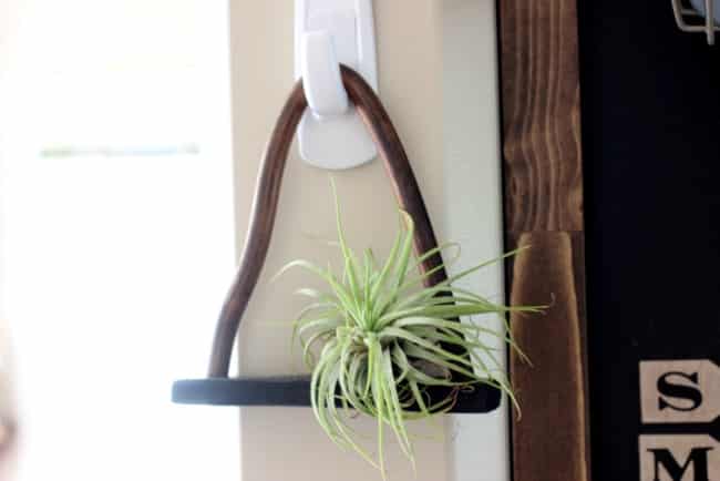 Love this chic DIY shelf for air plants! Black clay and copper are the perfect combination!