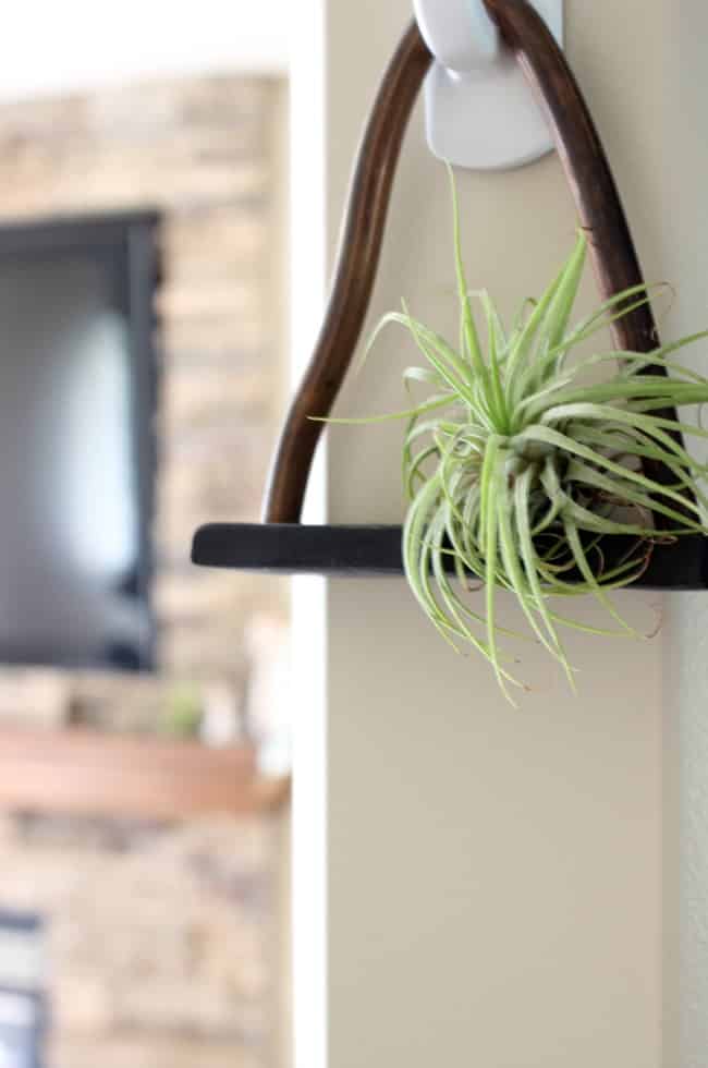 Love this chic DIY shelf for air plants! Black clay and copper are the perfect combination!