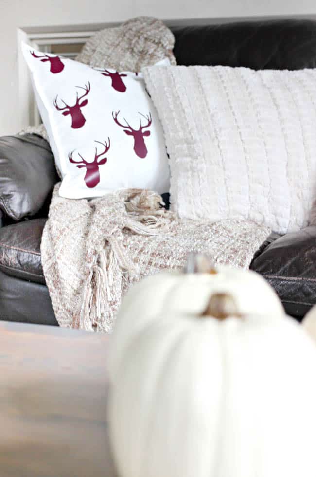 Fall-themed pillows and a cozy throw are an excellent way to cozy up in style