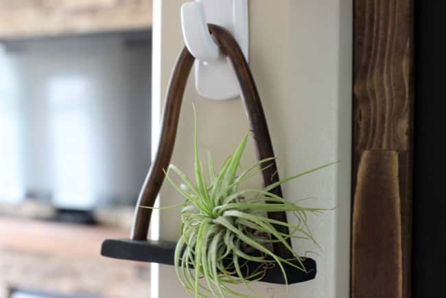 Love this chic DIY shelf for air plants! Black clay and copper are the perfect combination!