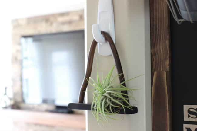 Love this chic DIY shelf for air plants! Black clay and copper are the perfect combination!