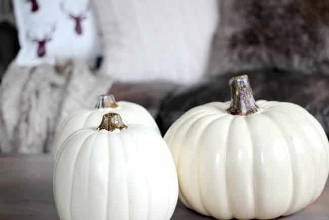 Pumpkins with colour variations are a great way to liven up your fall decor