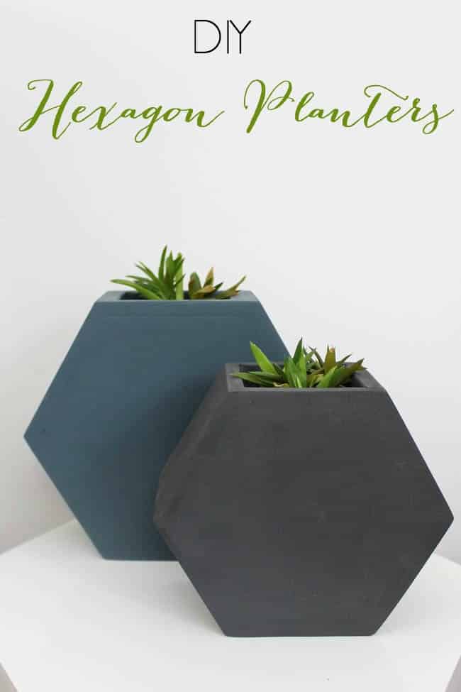 DIY hexagon wall planters