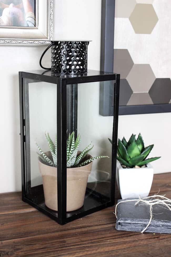 Make this DIY Modern Closed Terrarium in less than five minutes! Plus three different ideas to fill your terrarium. The perfect five minute project for spring!