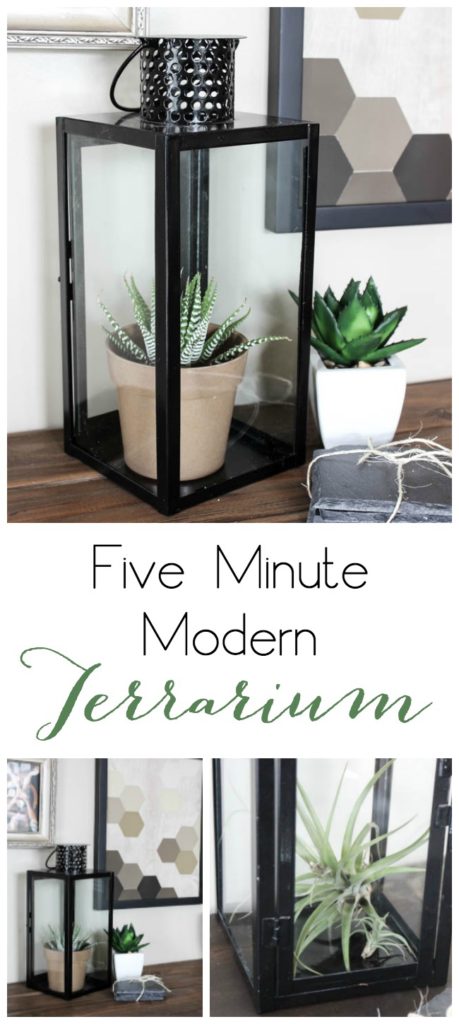 Make this DIY Modern Closed Terrarium in less than five minutes! Plus three different ideas to fill your terrarium. The perfect five minute project for spring!