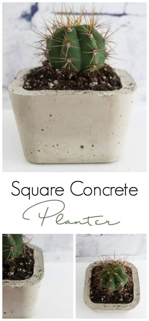 A simple DIY tutorial to make concrete decor for your home! Love the modern look of this square planter! Such an inexpensive project, but it looks modern and beautiful! 