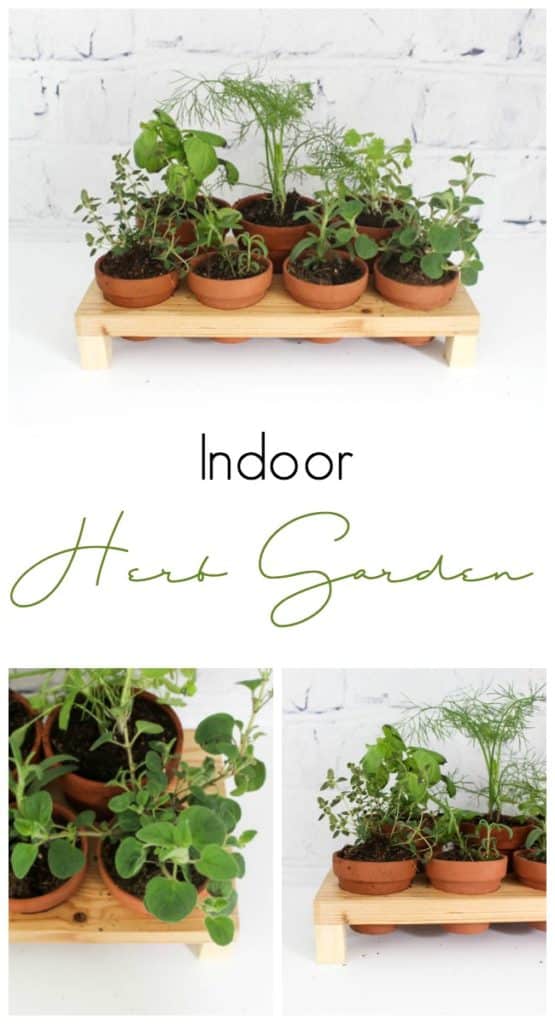 Three photos showing different angles of the DIY herb garden with text overlay reading "Indoor Herb Garden"