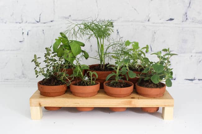 Image of the DIY herb garden