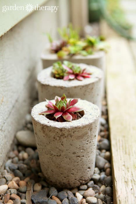 These tall concrete planters will be awesome for inside or outdoor decorating!