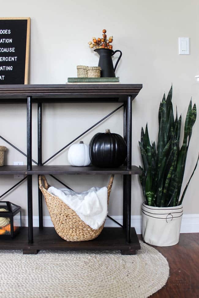 A closeup of the fall-themed sideboard with plants