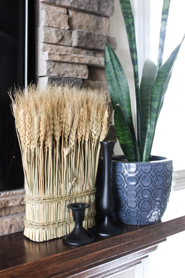 A closeup of wheat and a plant over the fireplace