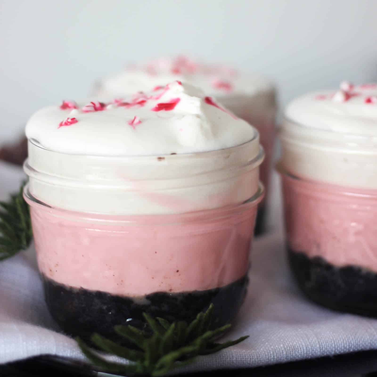 Looking for a quick and easy dessert? Try this no bake mini cheesecake recipe! These pink desserts are perfect for Valentine's Day, Bachelorettes, girls weekends, or just because!