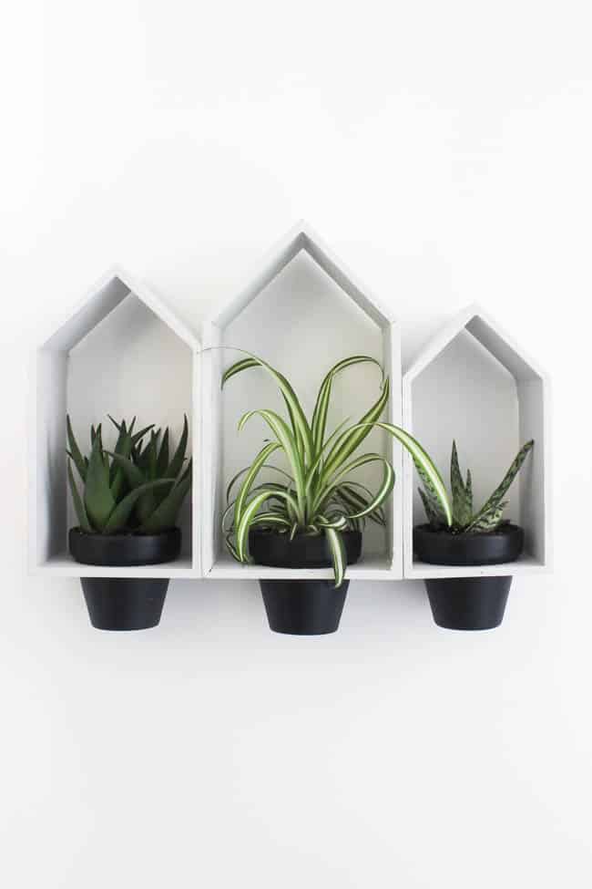 Modern hanging wall planter.