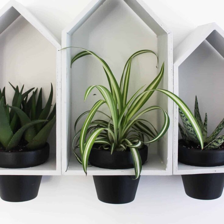 Beautiful Hanging Wall Planters to bring some greenery into your home! Love the modern look of these planters, and the dollar store price tag! Buy the terra cotta pots and wooden houses from the dollar store!