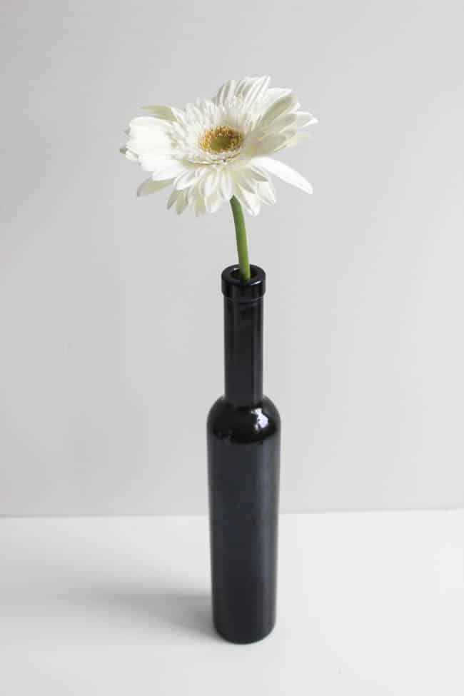 Single daisy in a bottle vase