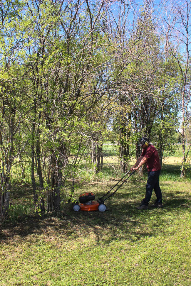 Choosing the perfect lawn mower for your home doesn't have to be challenge! Here are some great tips for choosing the perfect mower, whether it's a push mower, a riding mower or something in between! 