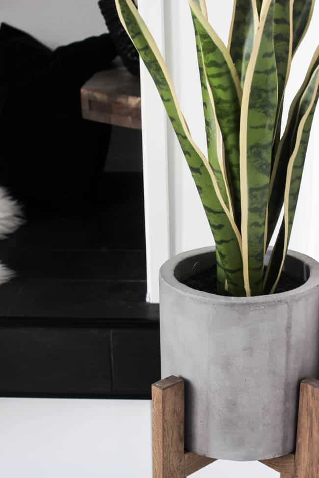 Pops of color like this plant gives the black and white modern entryway a fresh touch