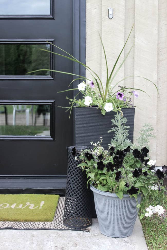 Quick and easy ways to add curb appeal to your front entry! Great budget-friendly tips for creating a front entry that is welcoming and beautiful. Transform your entry with a few of these simple ideas!