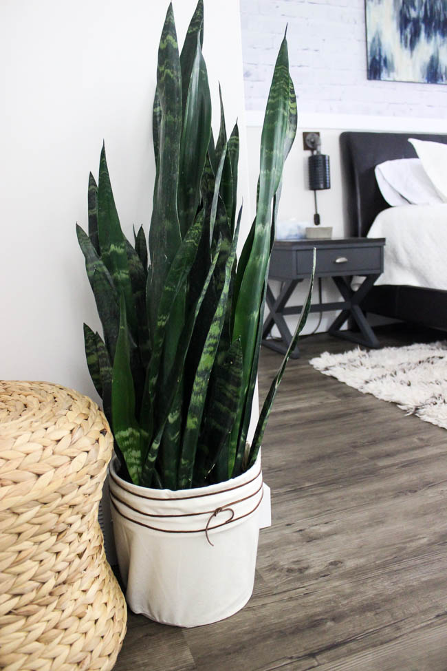 LOVE this budget-friendly planter! Make your own DIY canvas planter with an old bucket and some fabric. A beautiful modern DIY idea!