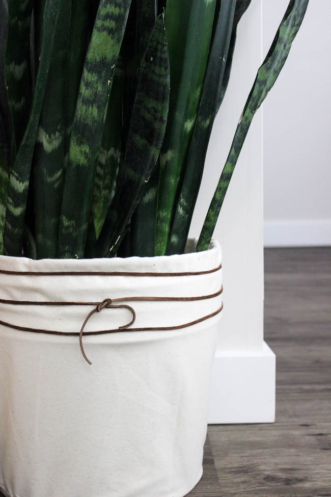 LOVE this budget-friendly planter! Make your own DIY canvas planter with an old bucket and some fabric. A beautiful modern DIY idea!