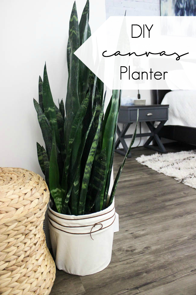 LOVE this budget-friendly planter! Make your own DIY canvas planter with an old bucket and some fabric. A beautiful modern DIY idea!