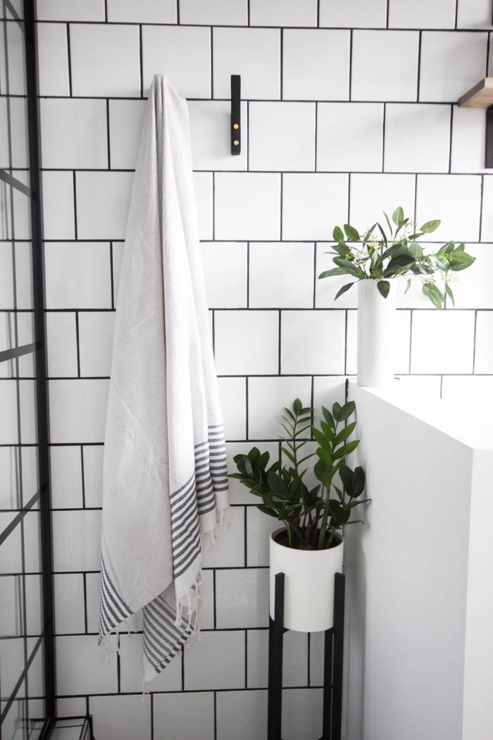 Greenery near the shower and tub in the modern bathroom.