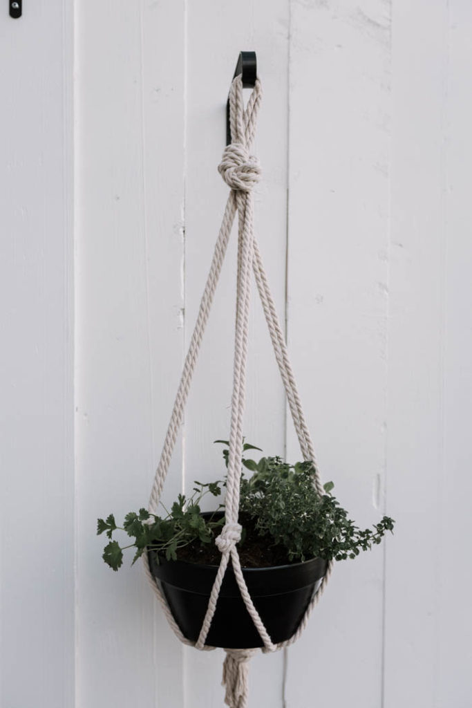 Five minute hanging planter with black pot
