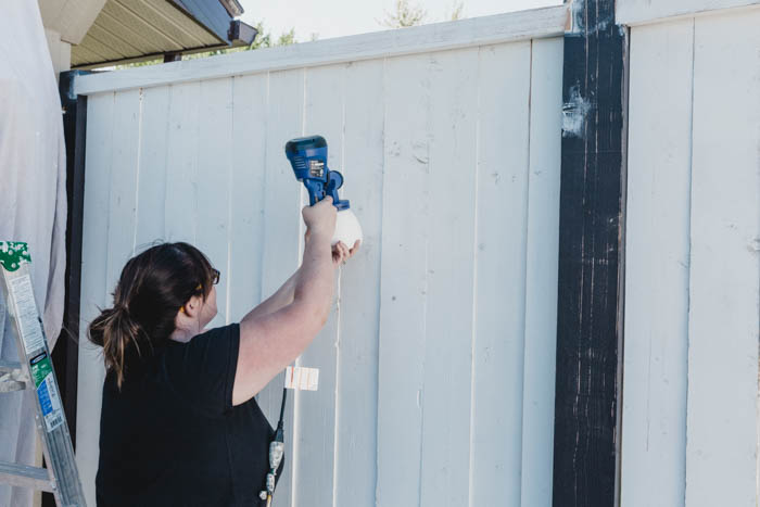 Painting the Deck