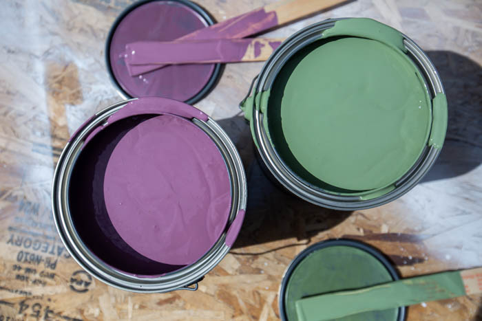 Valspar outdoor paint in canton purple and cactus shadow