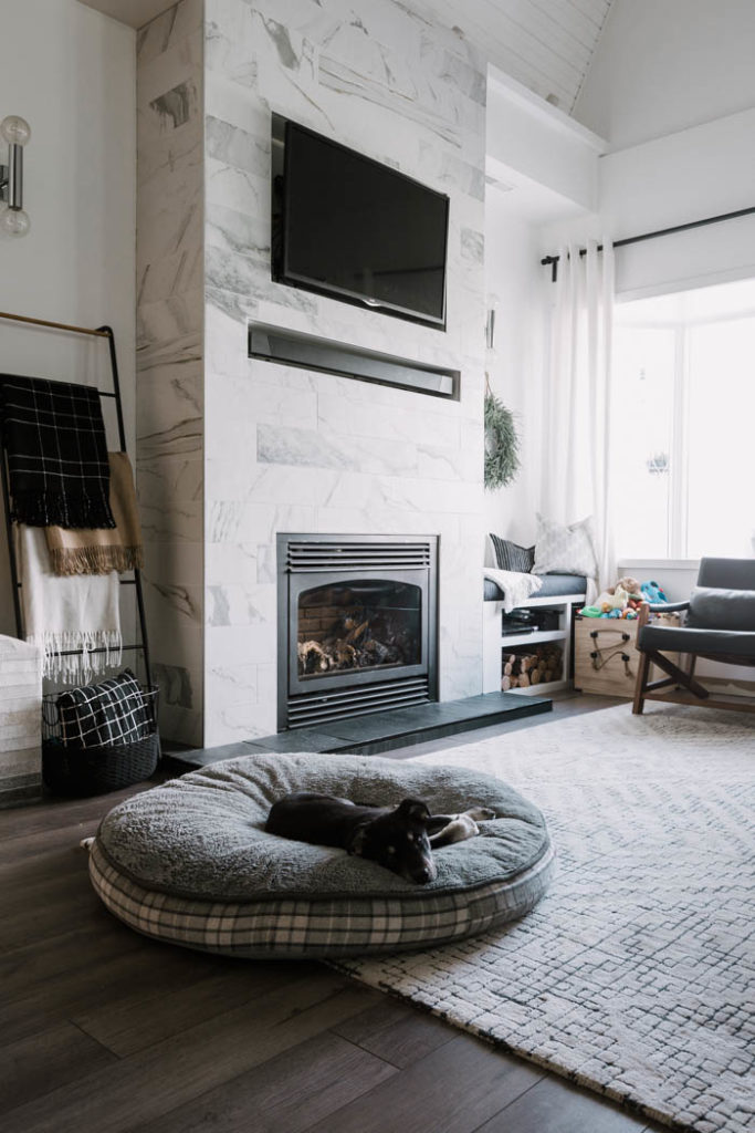 dog sleeping on the rug in the living room