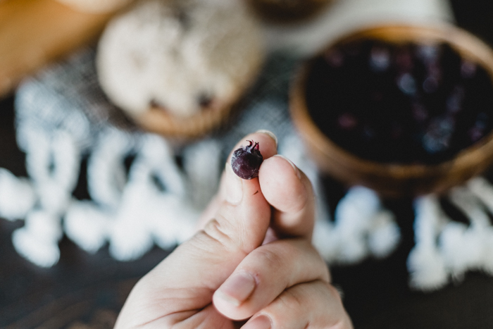 what are saskatoon berries