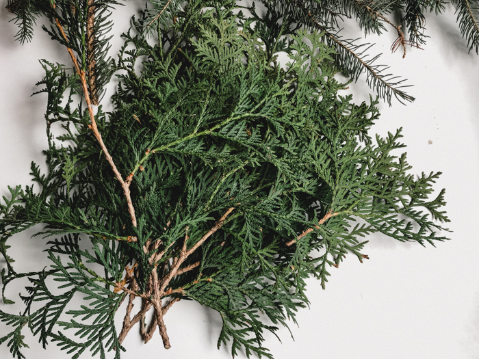 Cedar branches to make DIY giant pine wreath