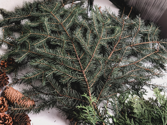 Foraged pine branches for wreath