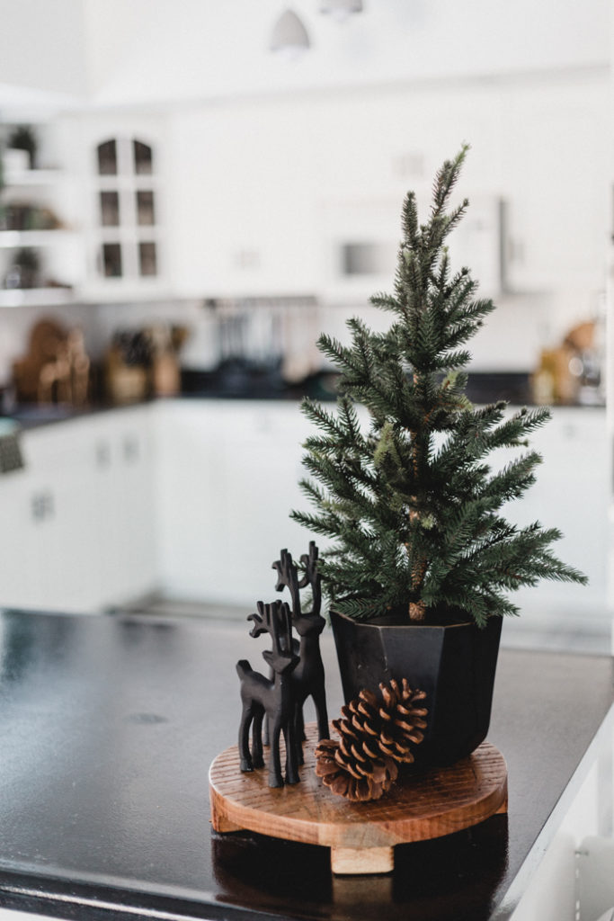 Modern countertop decor in the kitchen