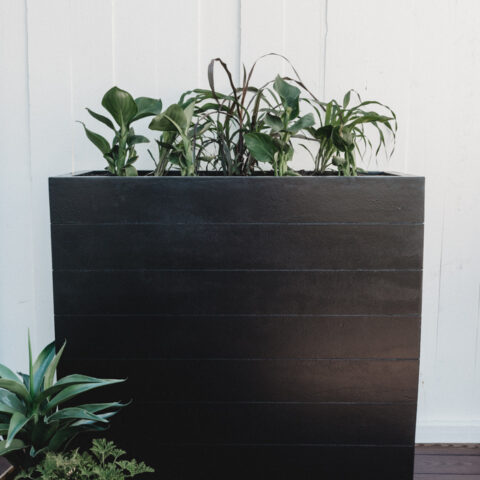 Large Planter on the deck