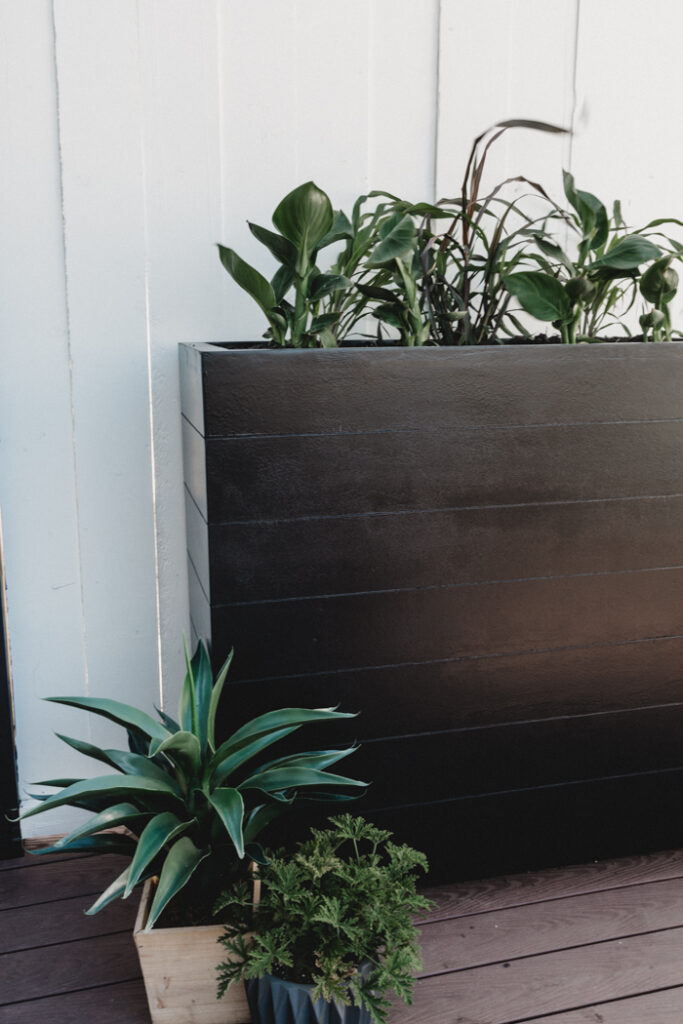 Large black planter box