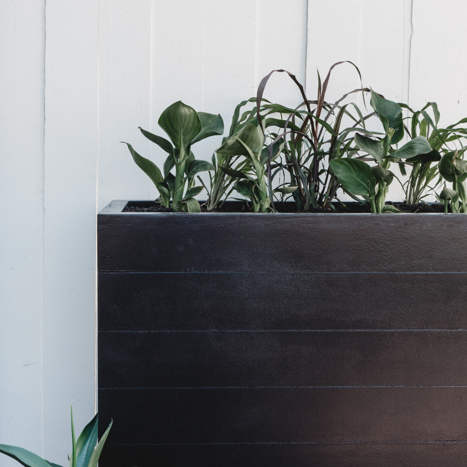 large outdoor planter box