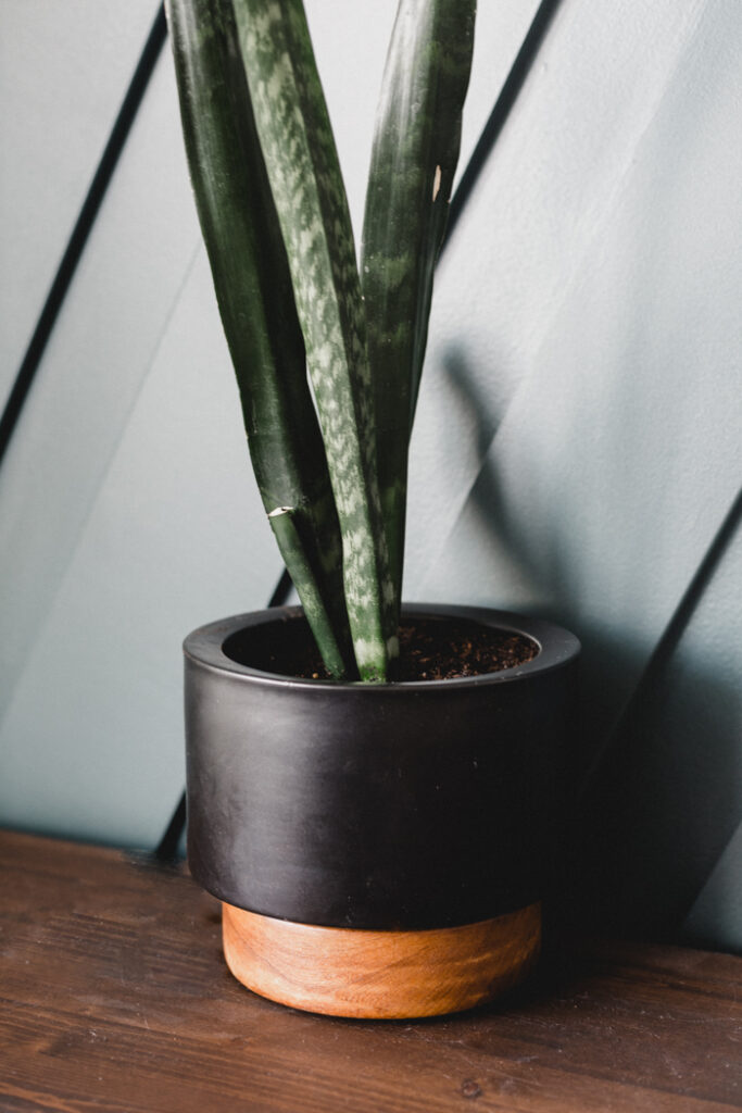 Mid Century Modern DIY Planter