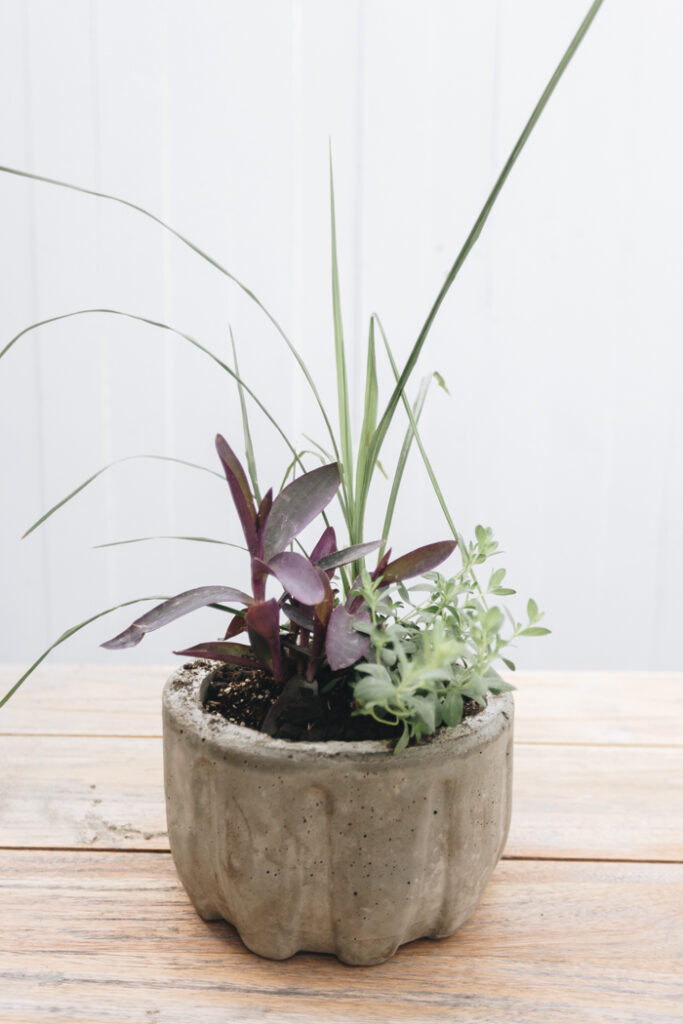 concrete bowl planter DIY