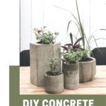 Photo of concrete planters with text reading DIY Concrete Planters