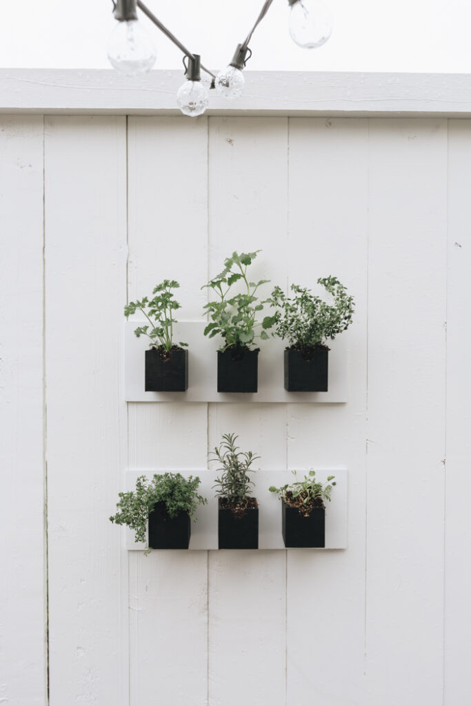 gorgeous summer herb garden DIY with dollar store supplies