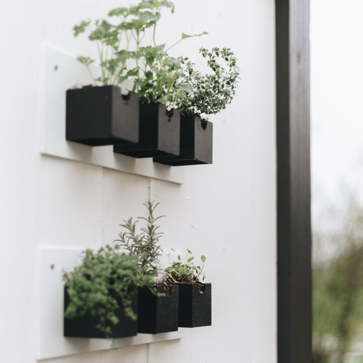 beautiful modern outdoor herb garden